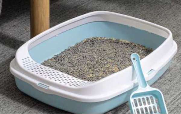 The Types Of Cat Litter Boxes Our Company Offers