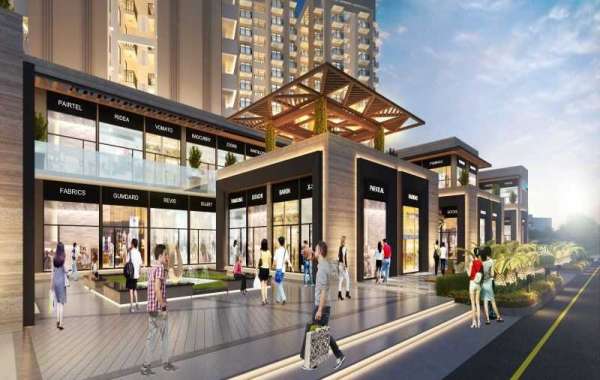 Buy Affordable Commercial Property and Shops in Gurgaon New Project
