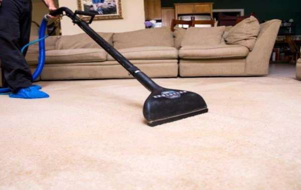 Enhance Your Home with Professional Carpet Cleaning Services