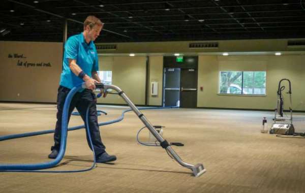 The Benefits of Hiring a Professional Carpet Cleaning Service for Pet Owners