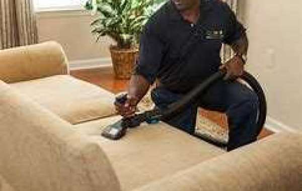 Why Investing in Professional Carpet Cleaning is a Game-Changer