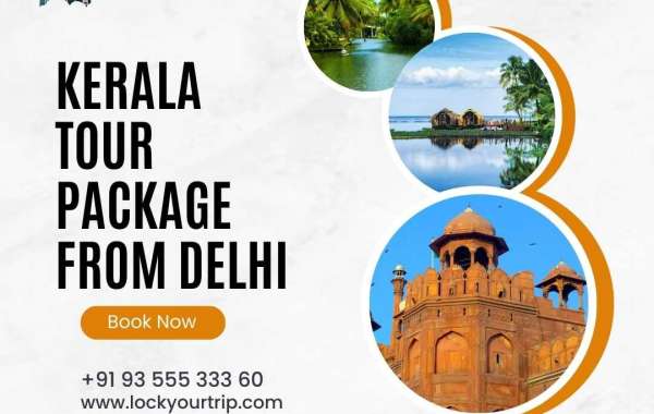 From Delhi to God's Own Country: Unveiling the Perfect Kerala tour package from delhi