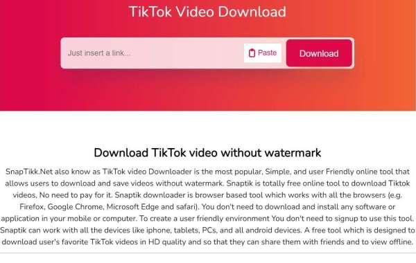 The Controversial Rise of Online TikTok Video Downloaders