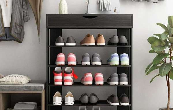 Smart Storage Solutions: Maximizing Space with Shoe Cabinets