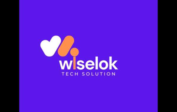 Digital Marcketing Company In Jaipur - Wiselok Tech Solution
