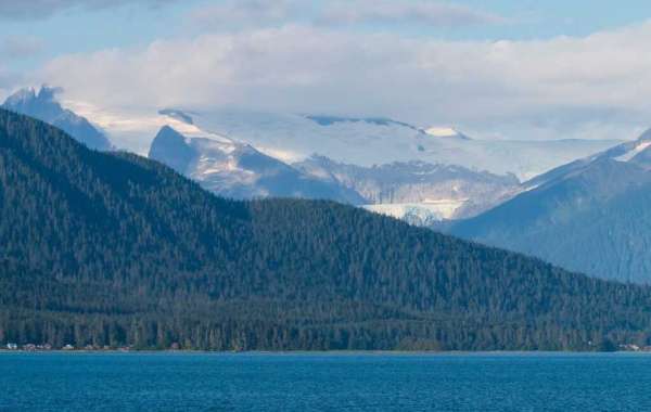 Explore The Beauty of Juneau, Alaska