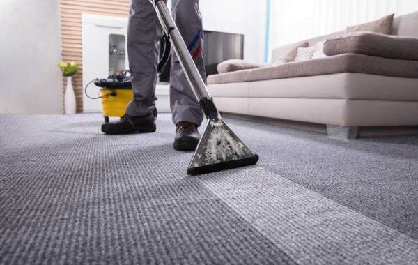 Enhance Your Home's Beauty and Health with Professional Carpet Cleaning