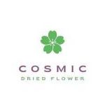 cosmicdried flower Profile Picture