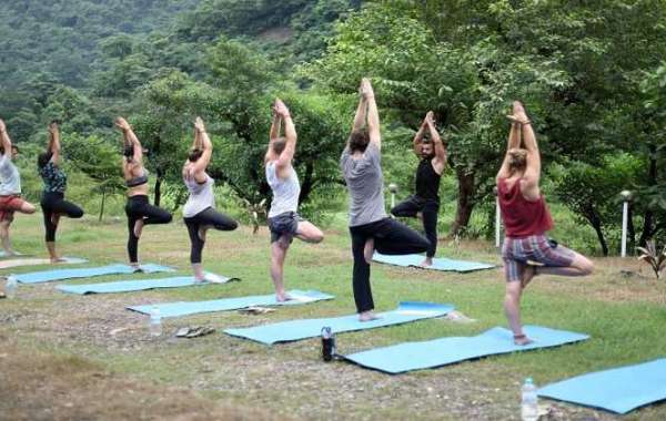 Yoga Teacher Training In Rishikesh