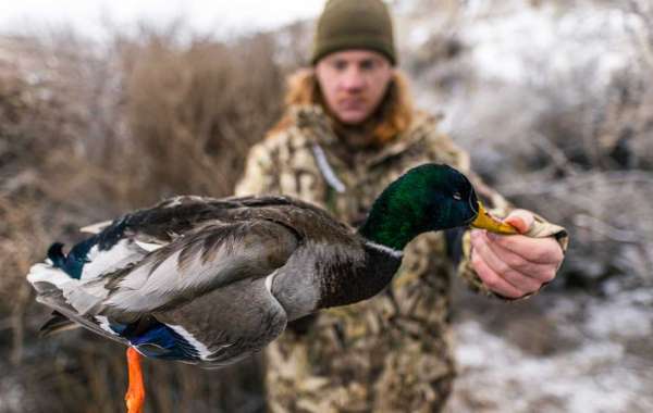 Explore the Bounty of Nature in Colorado Duck Hunter Paradise