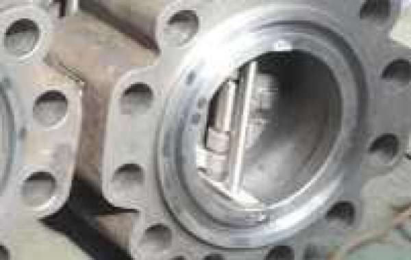 Dual Plate Check Valve Supplier in Angola