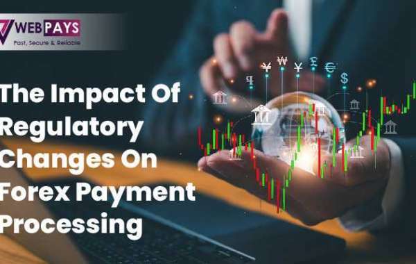 The Impact of Regulatory Changes on Forex Payment Processing