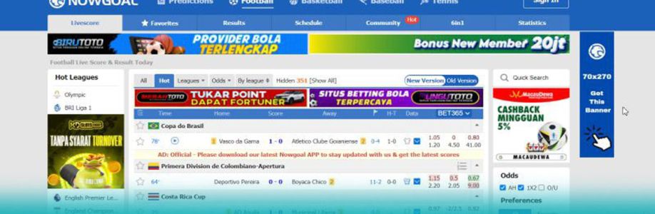 NOWGOAL Portal Tontonan Sepak Bola Onlin Cover Image