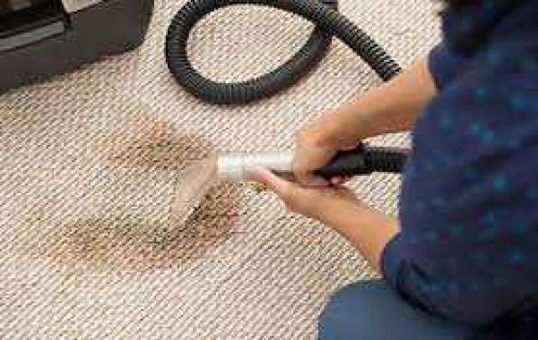 Professional Carpet Cleaning: A Simple Way to Enhance Home Aesthetics