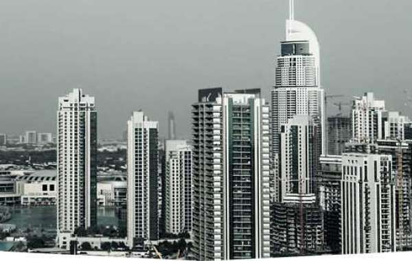 Your Path to Global Opportunities: Expert Immigration Services in Dubai