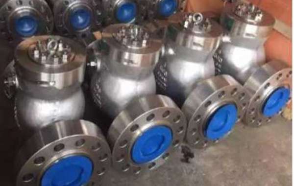 Swing Check Valve Manufacturers in india