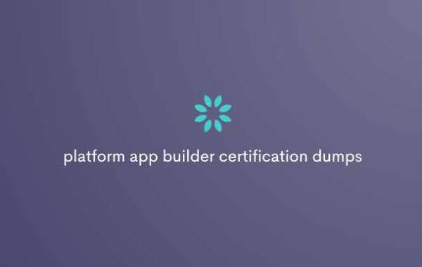 Dominate the Salesforce Platform App Exam: Top Dumps