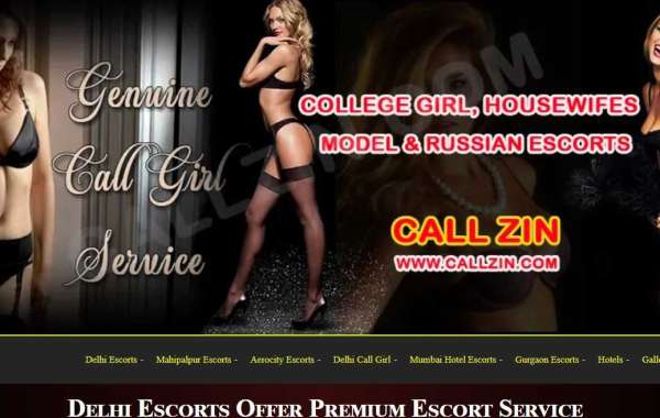 Welcome to High Profile Escorts in Delhi