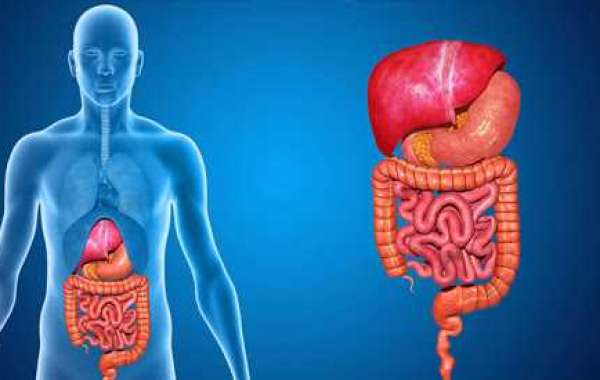 Finding the Best Gastroenterologist in Mumbai for Your Digestive Health