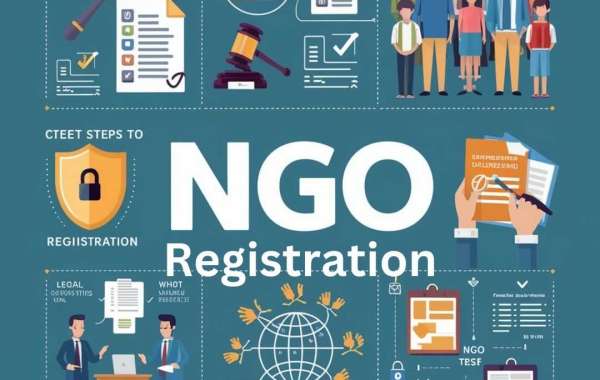 Understanding NGO Registration with NGO Expert