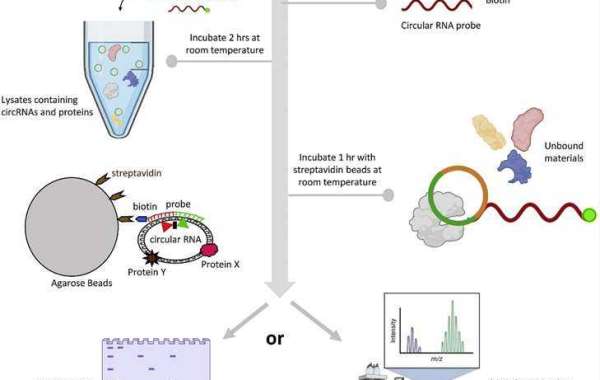 Principles, Probe Design, and Data Analysis of RNA Pull Down