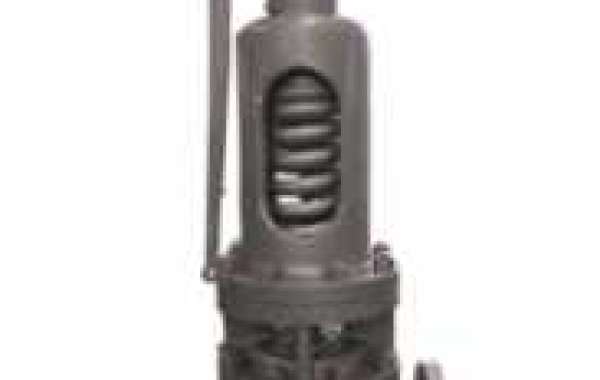 Bellow Safety Valve manufacturer in USA