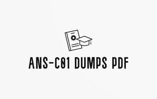 Achieve Top Scores with ANS-C01 Exam Dumps by DumpsBoss