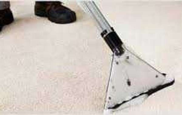 Professional Carpet Cleaning: Protecting the Health of Every Home